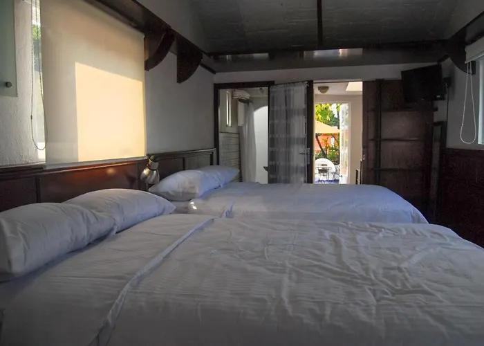 Coyoacan, 2 Level Cozy 3bedrooms, 3bathrooms, Terrace * Mexico City